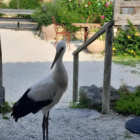 D'hôtes La Marouette Couette-café Hiers-Brouage