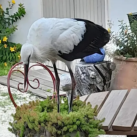 Couette-café D'hôtes La Marouette Hiers-Brouage