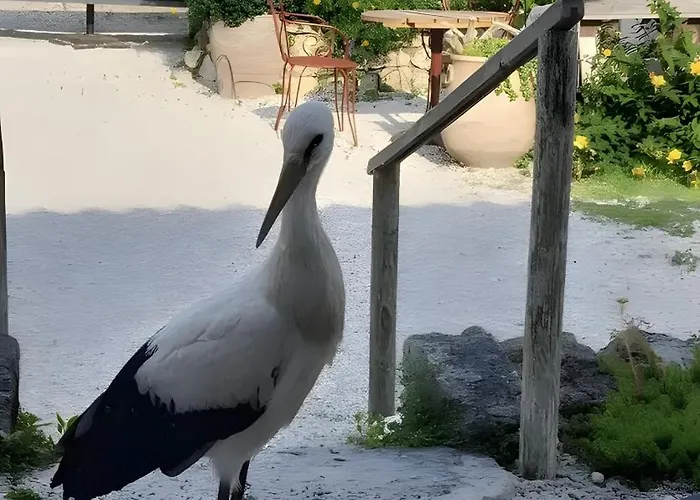 Couette-café D'hôtes La Marouette Hiers-Brouage