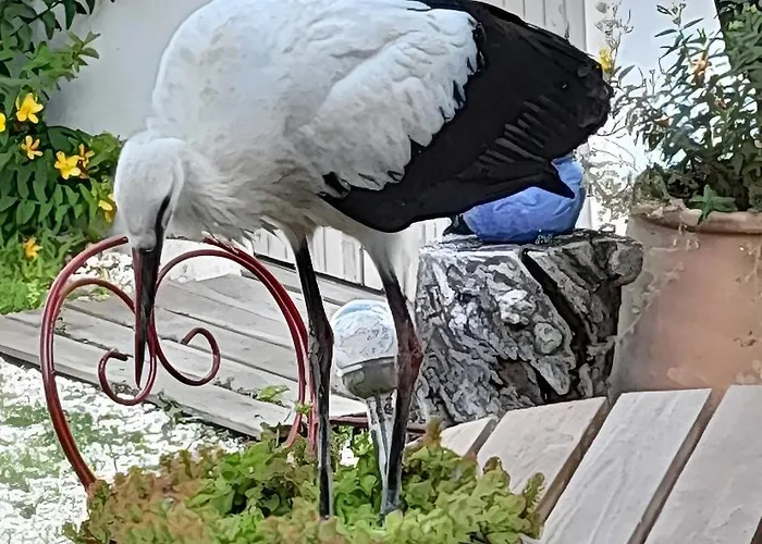 Couette-café D'hôtes La Marouette 3*