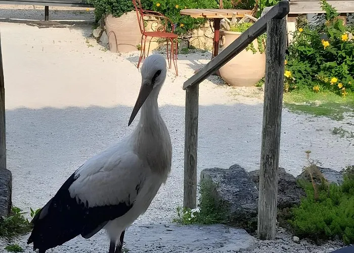 D'hôtes La Marouette Couette-café Hiers-Brouage