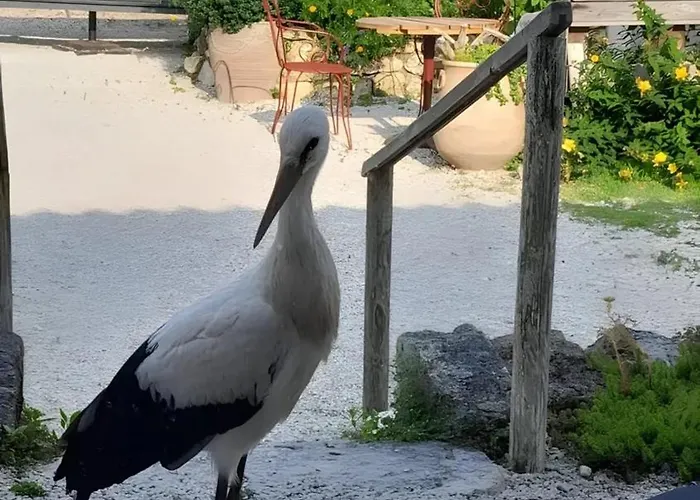 D'hôtes La Marouette 3*